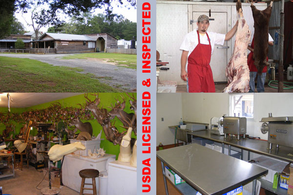 Mossey Creek meat processing & taxidermy